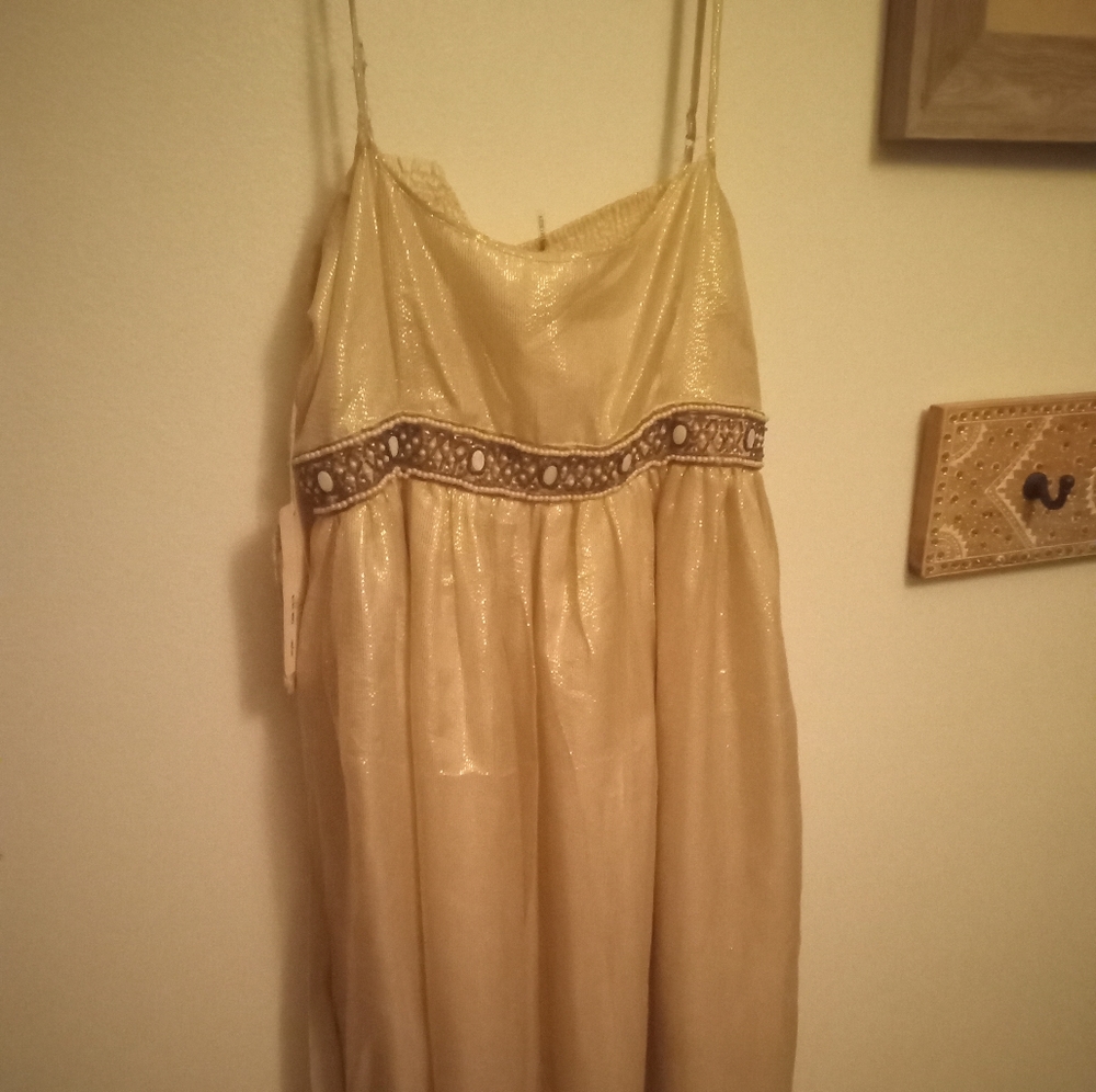 Golden Goddess Fairy Dress